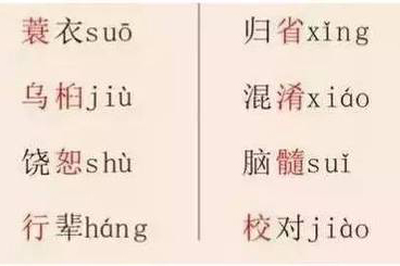 高职高考汉语拼音真题强化练习二，每日一练，一次二十分钟
