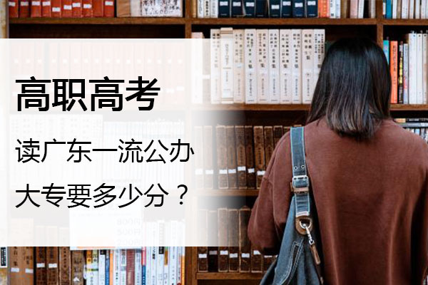 高职高考，读广东一流公办大专要多少分？